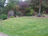 hedge maintenance